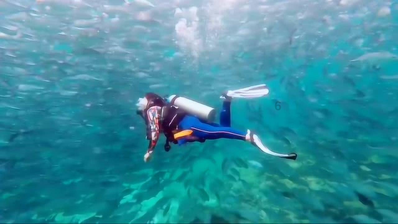 马来西亚一载有中国游客客车发生事故 2人受伤送医