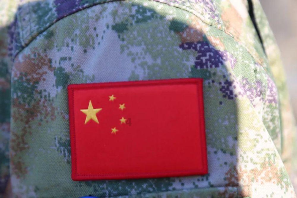 破碎的动物图形2