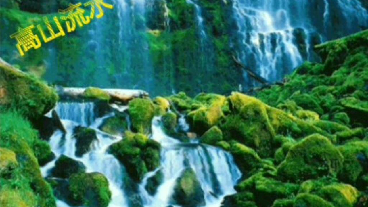 小红帽的冒险之旅